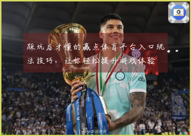 踩坑后才懂的赢点体育平台入口玩法技巧，让你轻松提升游戏体验