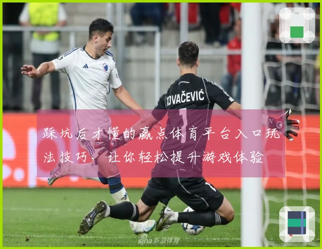 踩坑后才懂的赢点体育平台入口玩法技巧,让你轻松提升游戏体验